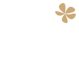 Spa Twenty Six Logo