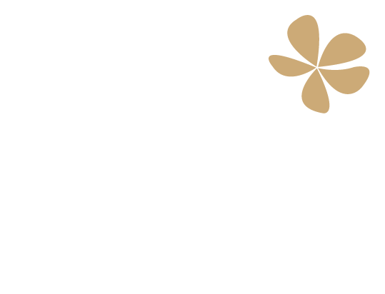 Spa Twenty Six Logo